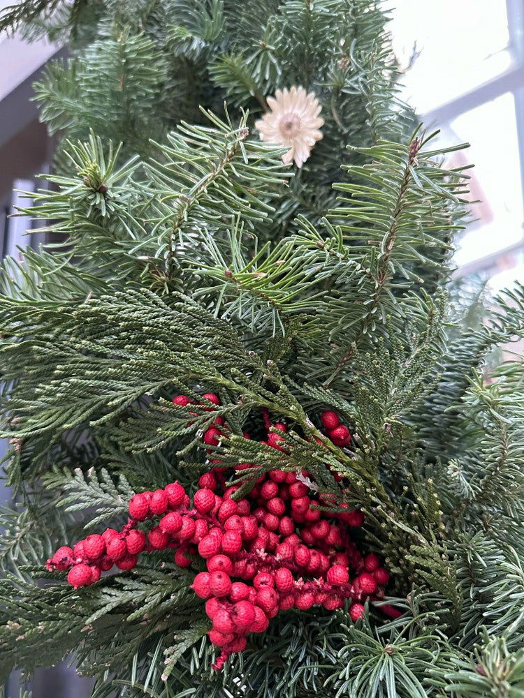 Noble Fir and Red Berries Fresh Garland, 6' | Plow & Hearth