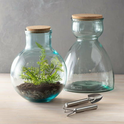 Tall Glass Terrarium | Plow & Hearth