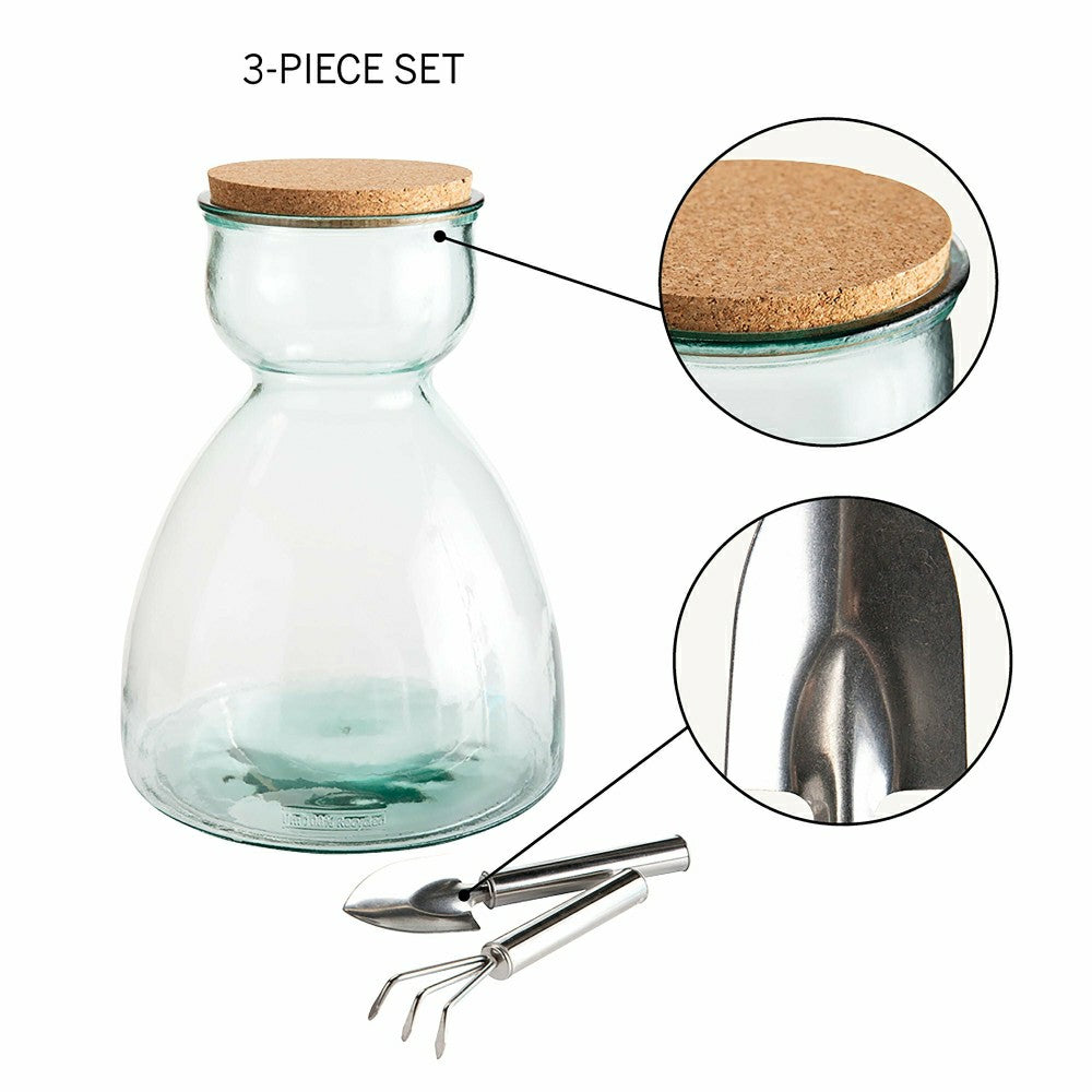 Tall Glass Terrarium | Plow & Hearth