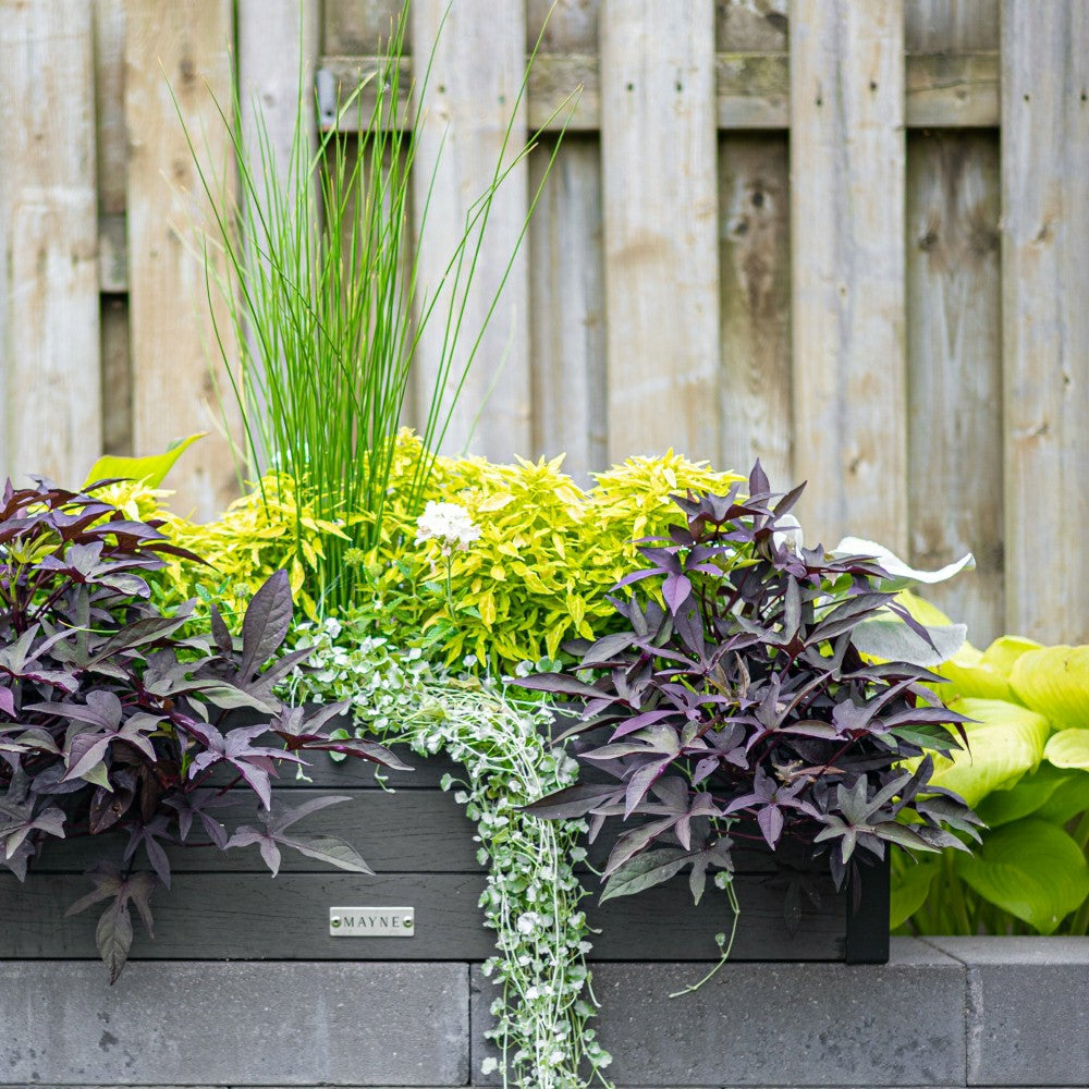 Horizon Charcoal Window Box | Plow & Hearth
