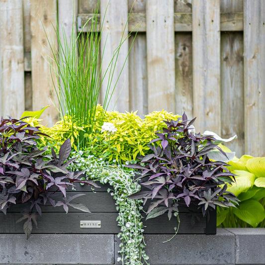 Horizon Charcoal Window Box | Plow & Hearth