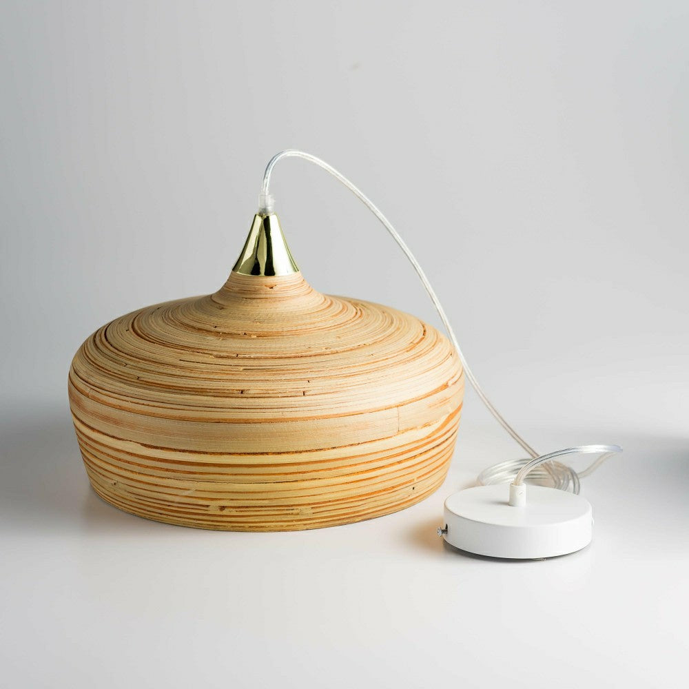 LG ROUND PEND LIGHT | Plow & Hearth