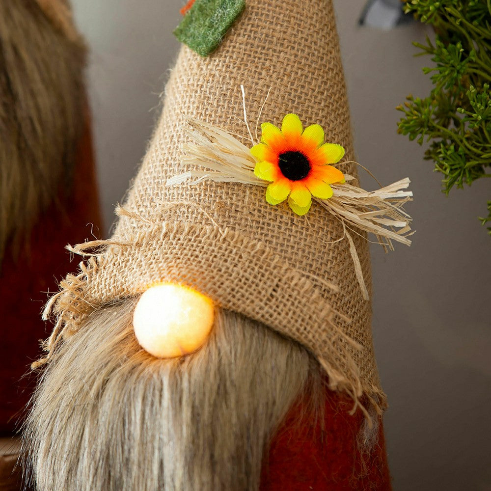 LED Plush Gnomes, Set of 2 | Plow & Hearth