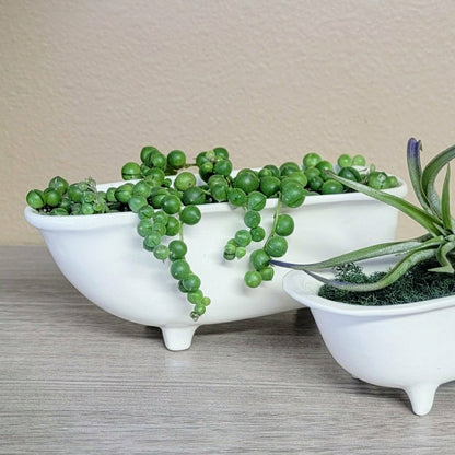 Medium Ceramic Bathtub Planter | Plow & Hearth