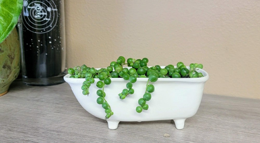 Medium Ceramic Bathtub Planter | Plow & Hearth