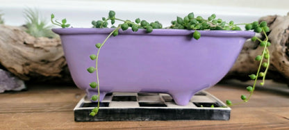 Medium Ceramic Bathtub Planter | Plow & Hearth