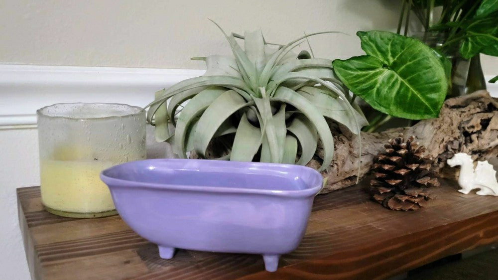 Medium Ceramic Bathtub Planter | Plow & Hearth