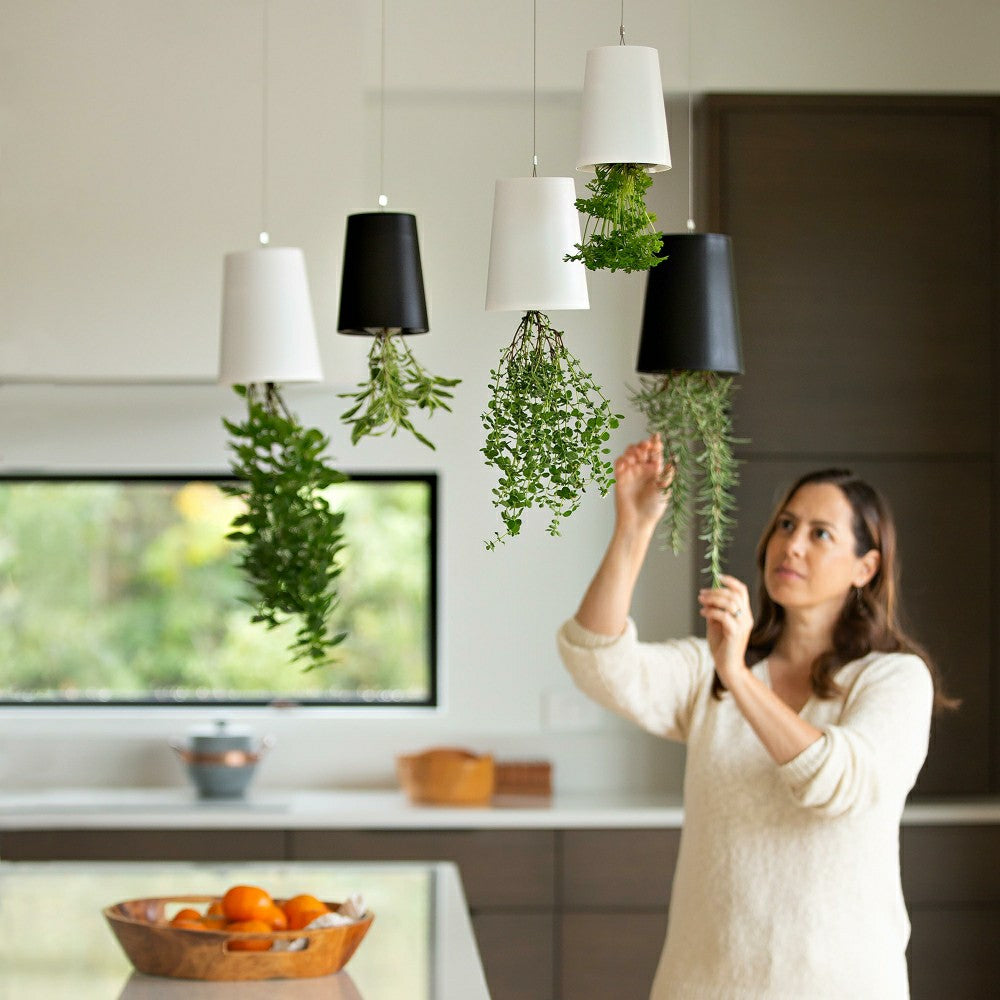 Small Sky Planter | Plow & Hearth