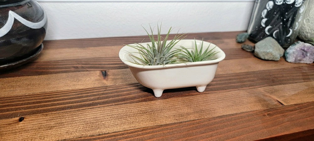 Small Bathtub Planter | Plow & Hearth