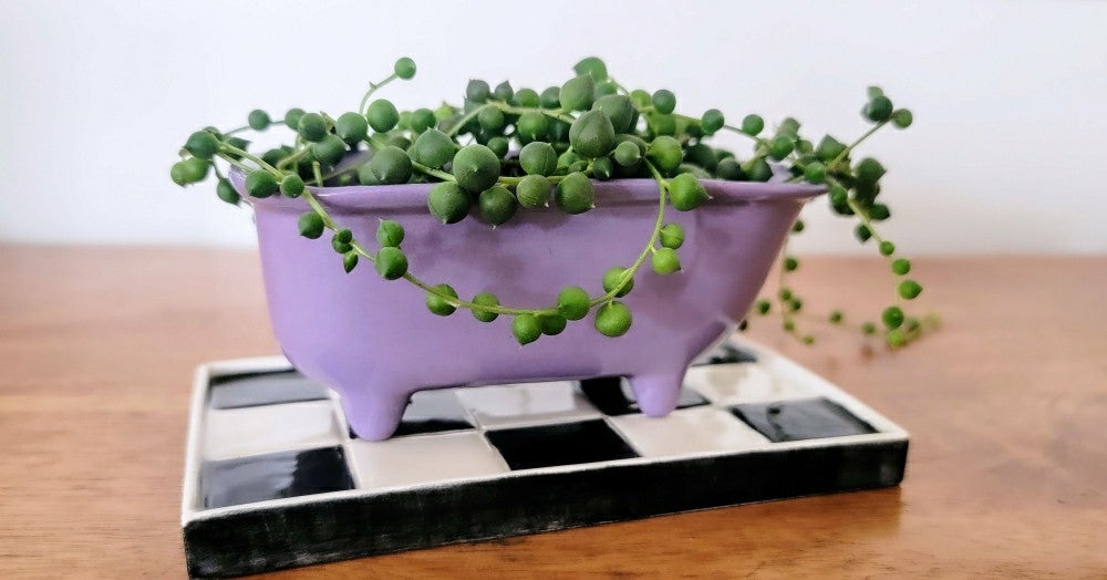 Small Bathtub Planter | Plow & Hearth