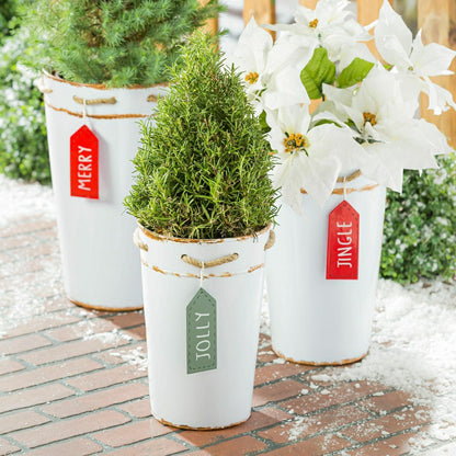 Holly Homestead Planter, French Bucket with Holiday Tag, Set of 3 | Plow & Hearth