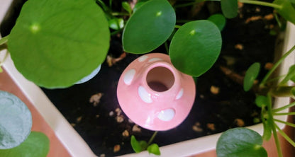 Small Toadstool Watering Spike | Plow & Hearth