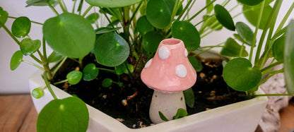 Small Toadstool Watering Spike | Plow & Hearth