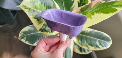 Bathtub Watering Spike | Plow & Hearth