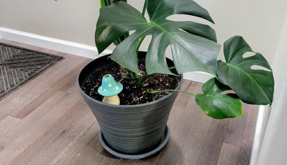 X-Large Toadstool Watering Spike | Plow & Hearth