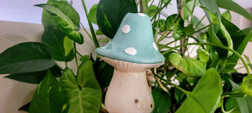 X-Large Toadstool Watering Spike | Plow & Hearth
