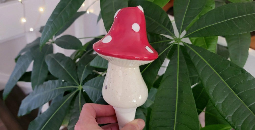X-Large Toadstool Watering Spike | Plow & Hearth