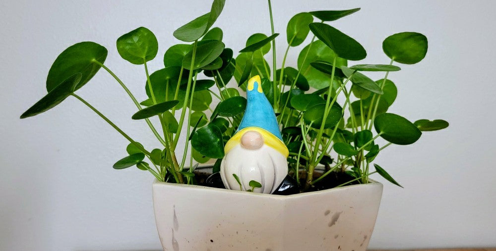 Short Gnome Watering Spike | Plow & Hearth