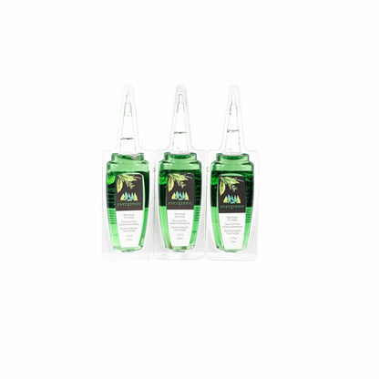 Glass Watering Set, including One Mister, One Watering Globe and 6 Pla | Plow & Hearth