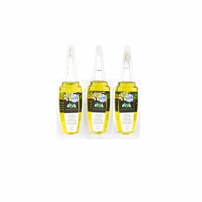 Glass Watering Set, including One Mister, One Watering Globe and 6 Pla | Plow & Hearth