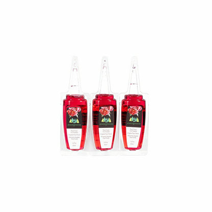 Glass Watering Set, including One Mister, One Watering Globe and 6 Pla | Plow & Hearth