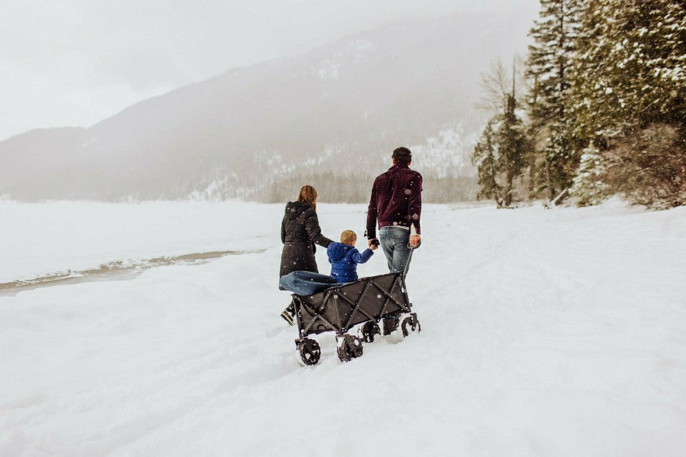 Adventure Wagon All-Terrain Portable Utility Wagon | Plow & Hearth
