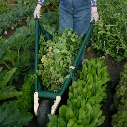 WheelEasy Foldable Garden Cart (Wheelbarrow) | Plow & Hearth