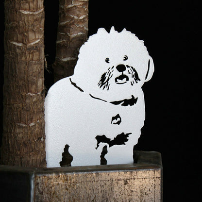 Bichon Frise | Plow & Hearth