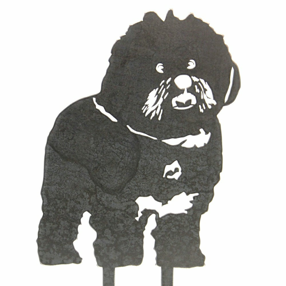 Bichon Frise | Plow & Hearth
