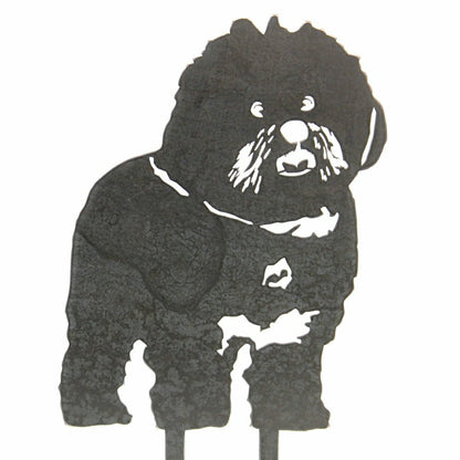 Bichon Frise | Plow & Hearth