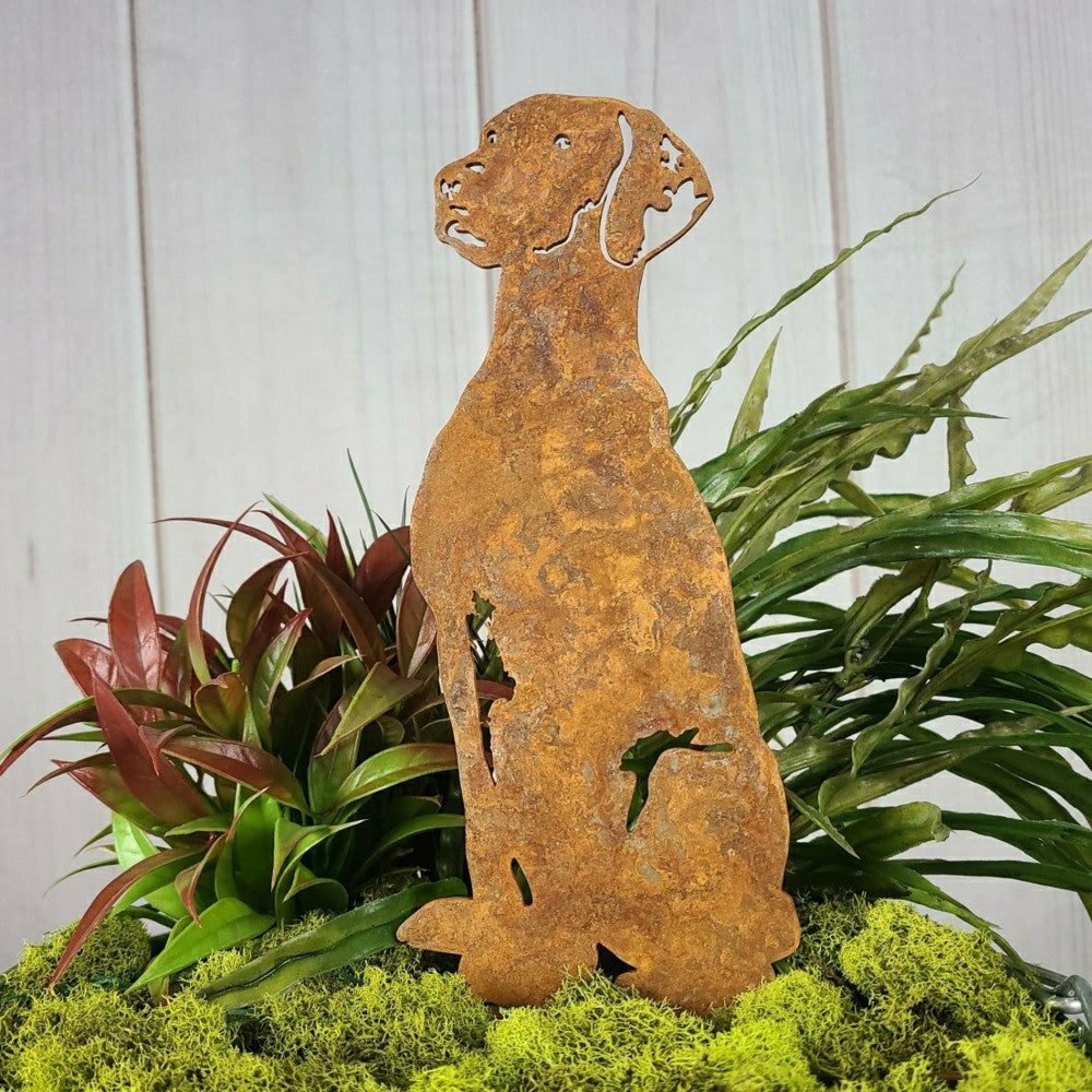 Rhodesian Ridgeback Garden Stake | Plow & Hearth