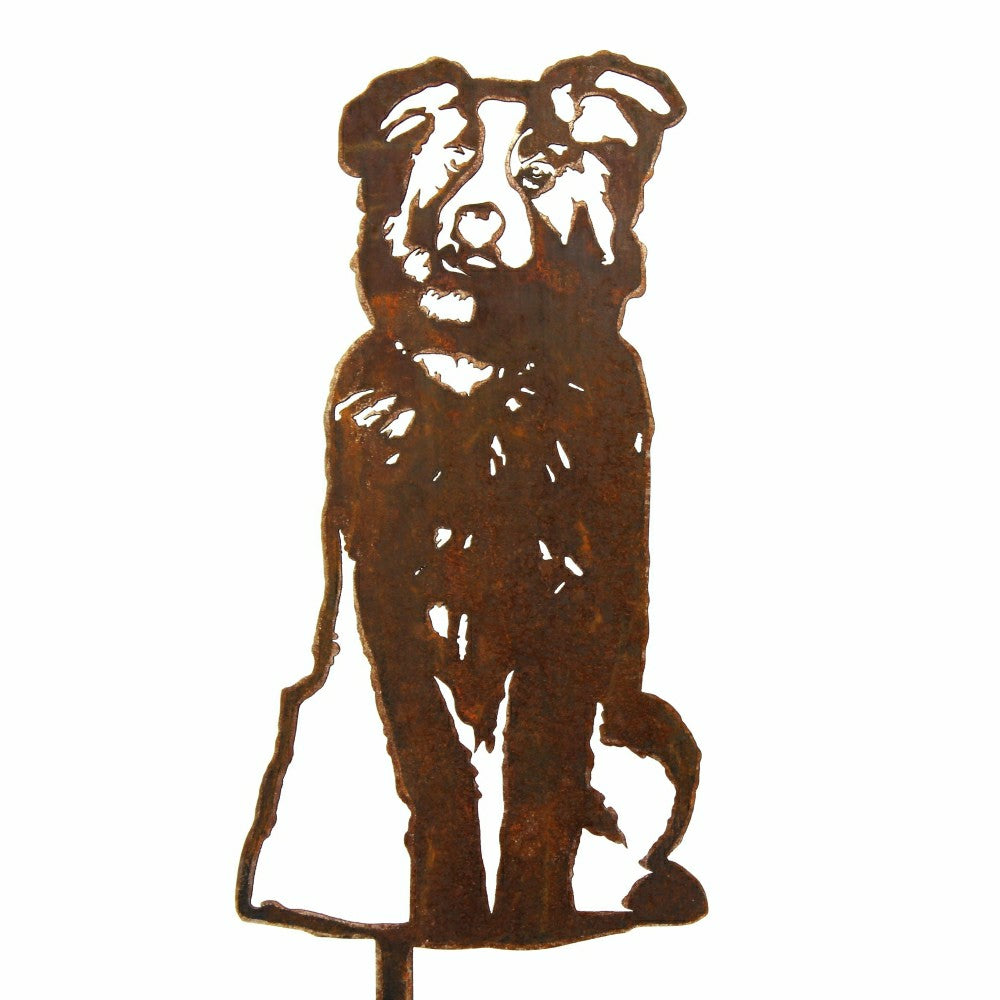 Australian Shepherd Garden Stake | Plow & Hearth