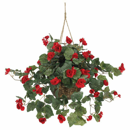 Begonia Hanging Basket | Plow & Hearth