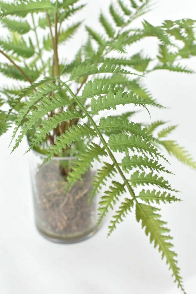25" Faux Forest Fern in Glass Vase | Plow & Hearth
