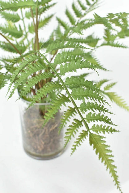 25" Faux Forest Fern in Glass Vase | Plow & Hearth
