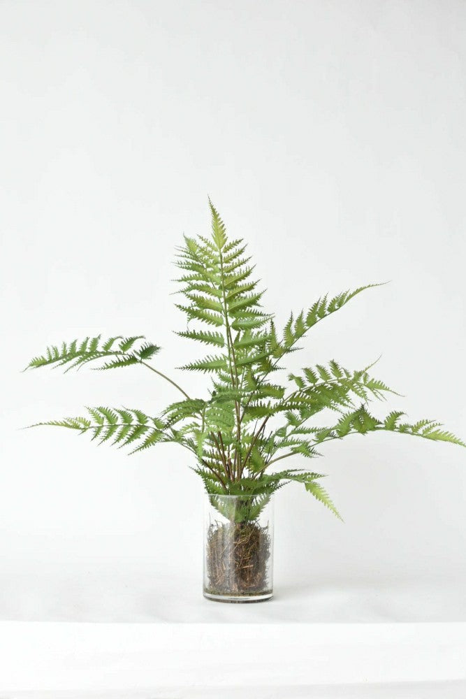 25" Faux Forest Fern in Glass Vase | Plow & Hearth