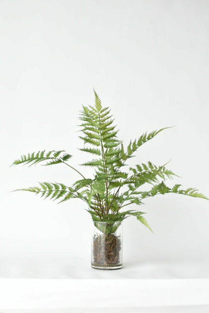 25" Faux Forest Fern in Glass Vase | Plow & Hearth