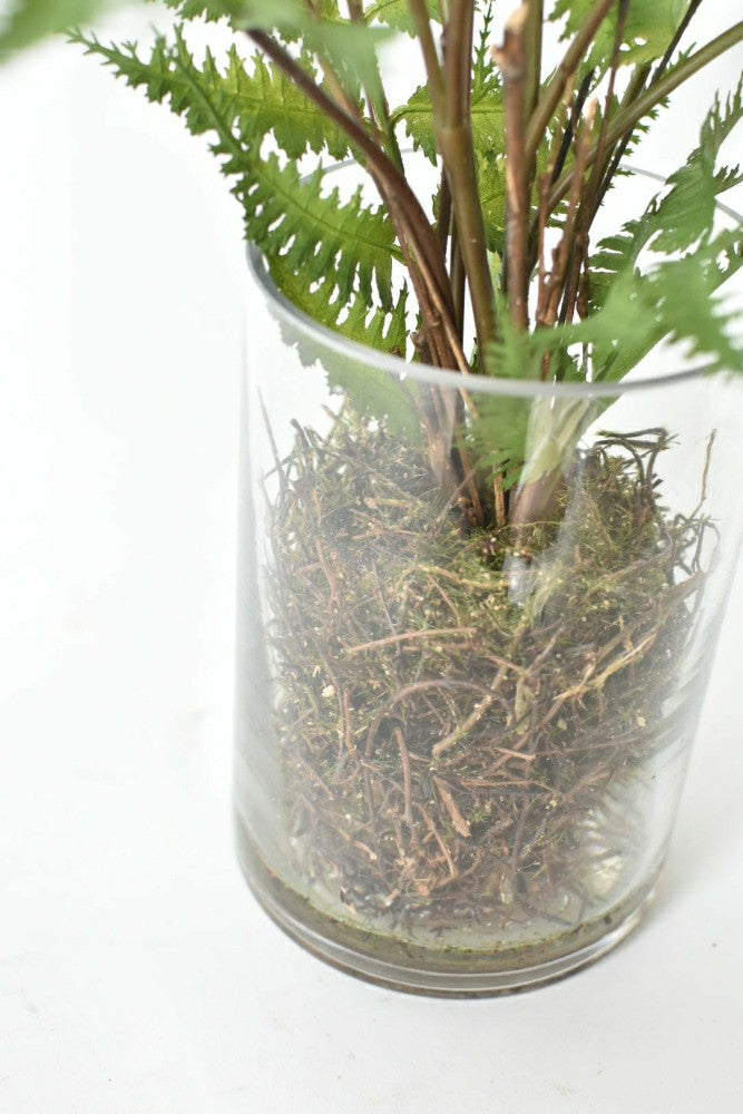 25" Faux Forest Fern in Glass Vase | Plow & Hearth