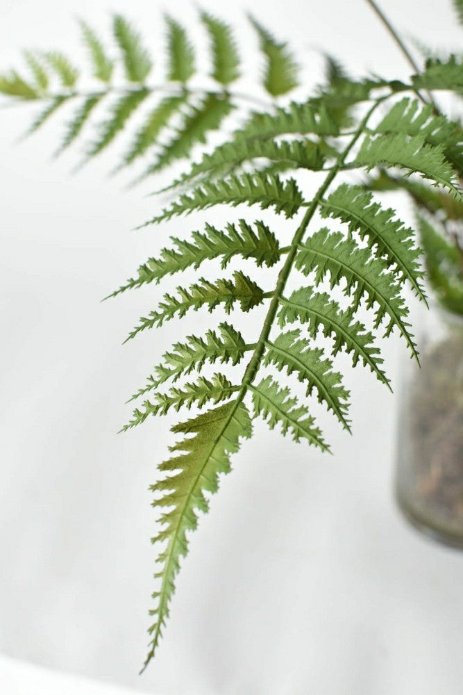 25" Faux Forest Fern in Glass Vase | Plow & Hearth