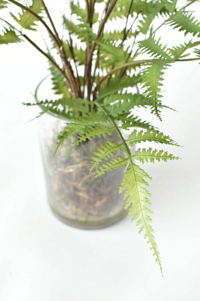 25" Faux Forest Fern in Glass Vase | Plow & Hearth