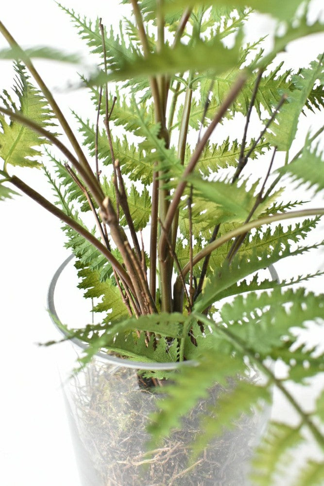 25" Faux Forest Fern in Glass Vase | Plow & Hearth