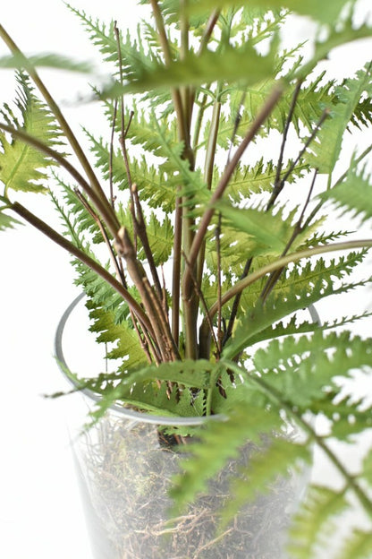 25" Faux Forest Fern in Glass Vase | Plow & Hearth