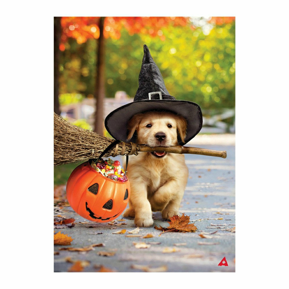 Goldens With Broom Suede House Flag | Plow & Hearth