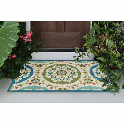 Suzanie Indoor/Outdoor Rug | Plow & Hearth