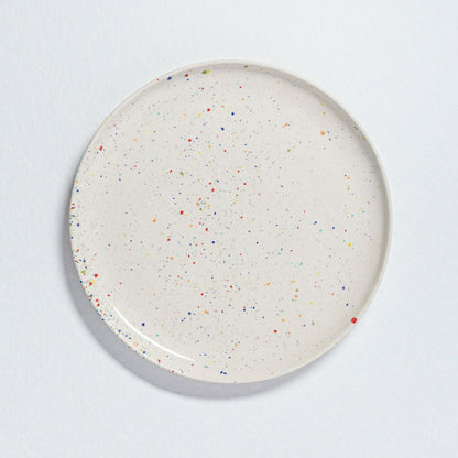 White Stoneware Ceramic Dinner Plates 11", Set of 6 | Plow & Hearth