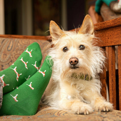 Save Dogs Gift Box | Plow & Hearth