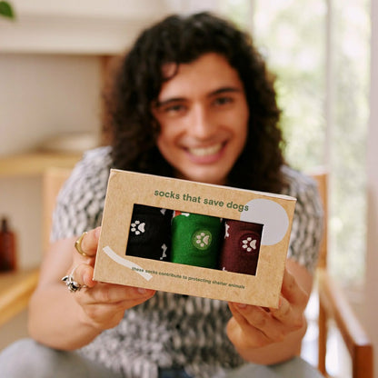 Save Dogs Gift Box | Plow & Hearth