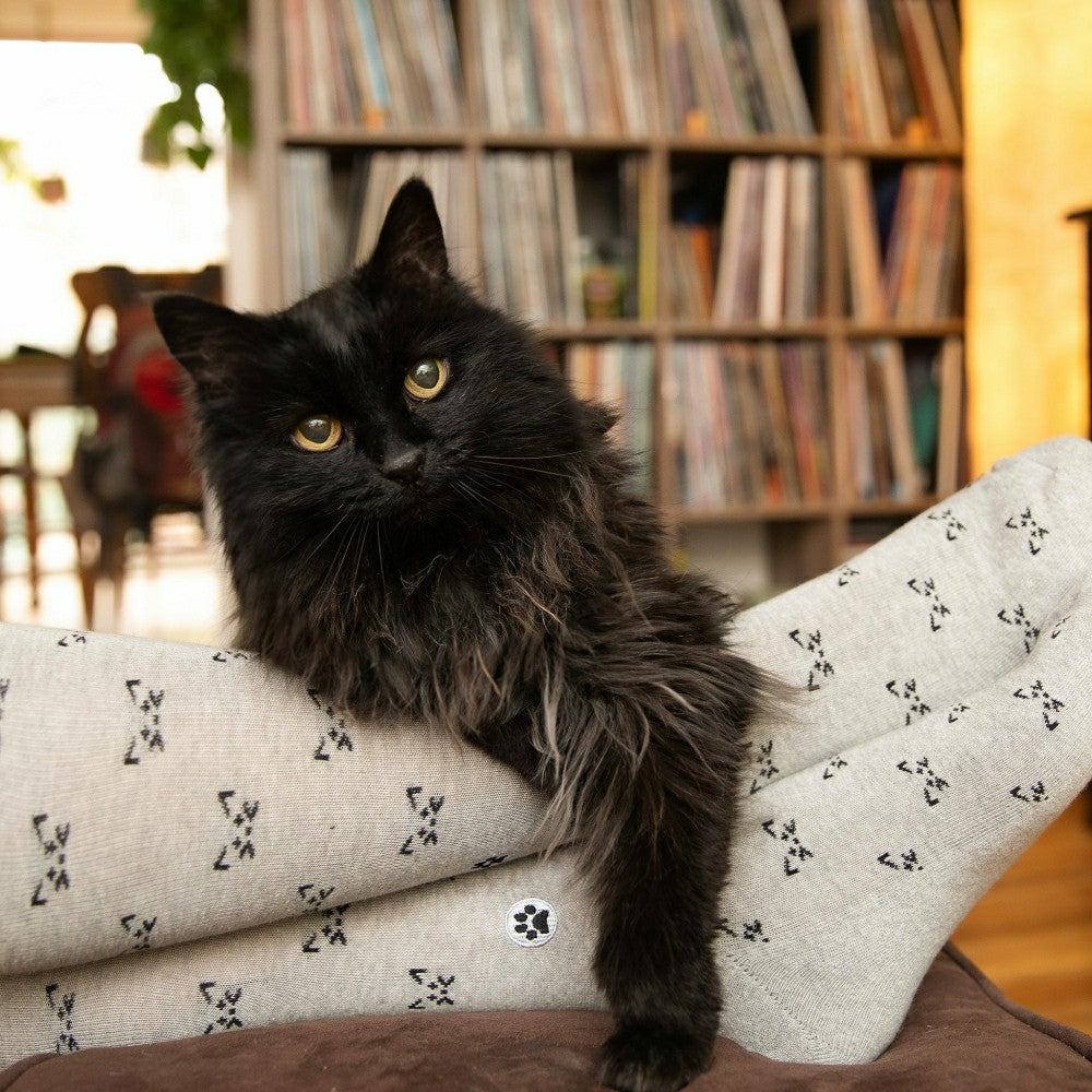 Save Cats Gift Box | Plow & Hearth