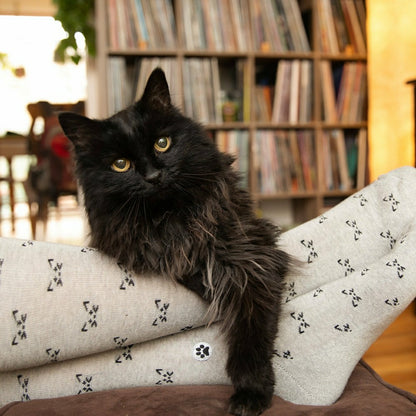 Save Cats Gift Box | Plow & Hearth