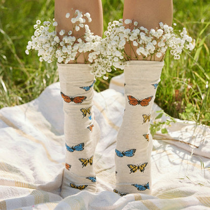 Protect Pollinators Gift Box | Plow & Hearth